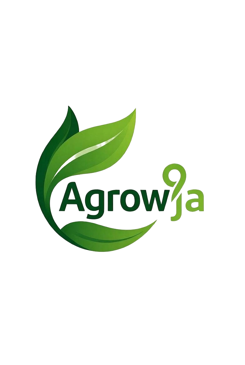 Customer Login Page Image